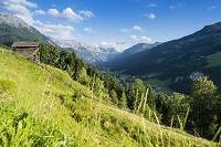Wanderparadies Wagrain (c) Bryan Reinhart 2015 (The Matthew)