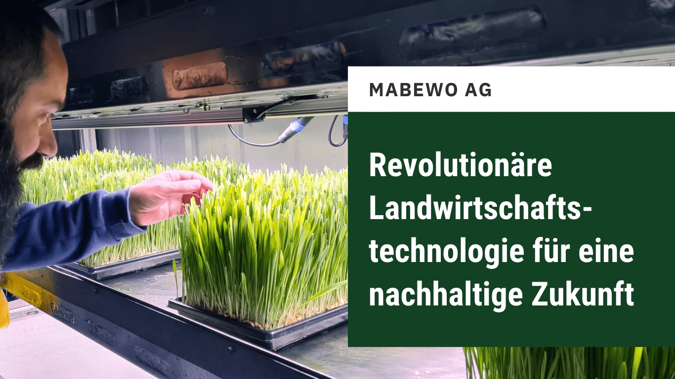 MABEWO AG - Landwirtschaftstechnologie (Die Bildrechte liegen bei dem Verfasser der Mitteilung.)
