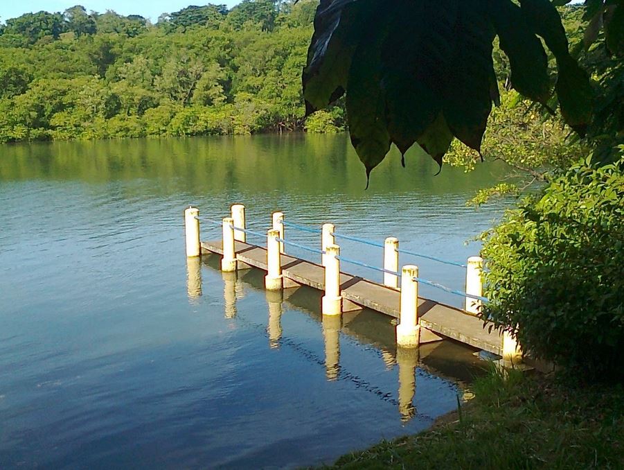 Brasilien Bahia Kauf 75 ha Kakao Fazenda, Meerblick