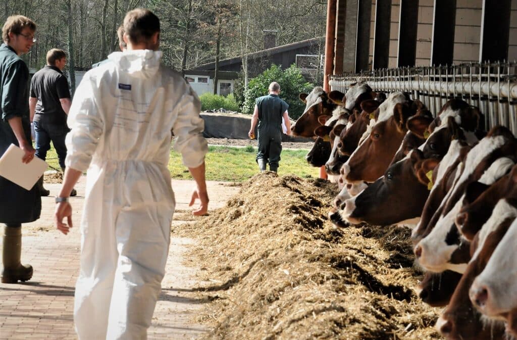 Im AVA- Fütterungscontrolling- Seminar diskutieren Tierärzte, Landwirte und Berater gemeinsam auf Augenhöhe zur Optimierung der Herdengesundheit (Die Bildrechte liegen bei dem Verfasser der Mitteilung.) Im AVA- Fütterungscontrolling- Seminar diskutieren Tierärzte, Landwirte und Berater gemeinsam auf Augenhöhe zur Optimierung der Herdengesundheit (Die Bildrechte liegen bei dem Verfasser der Mitteilung.)