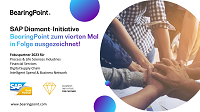 Infosheet „SAP Diamant-Initiative