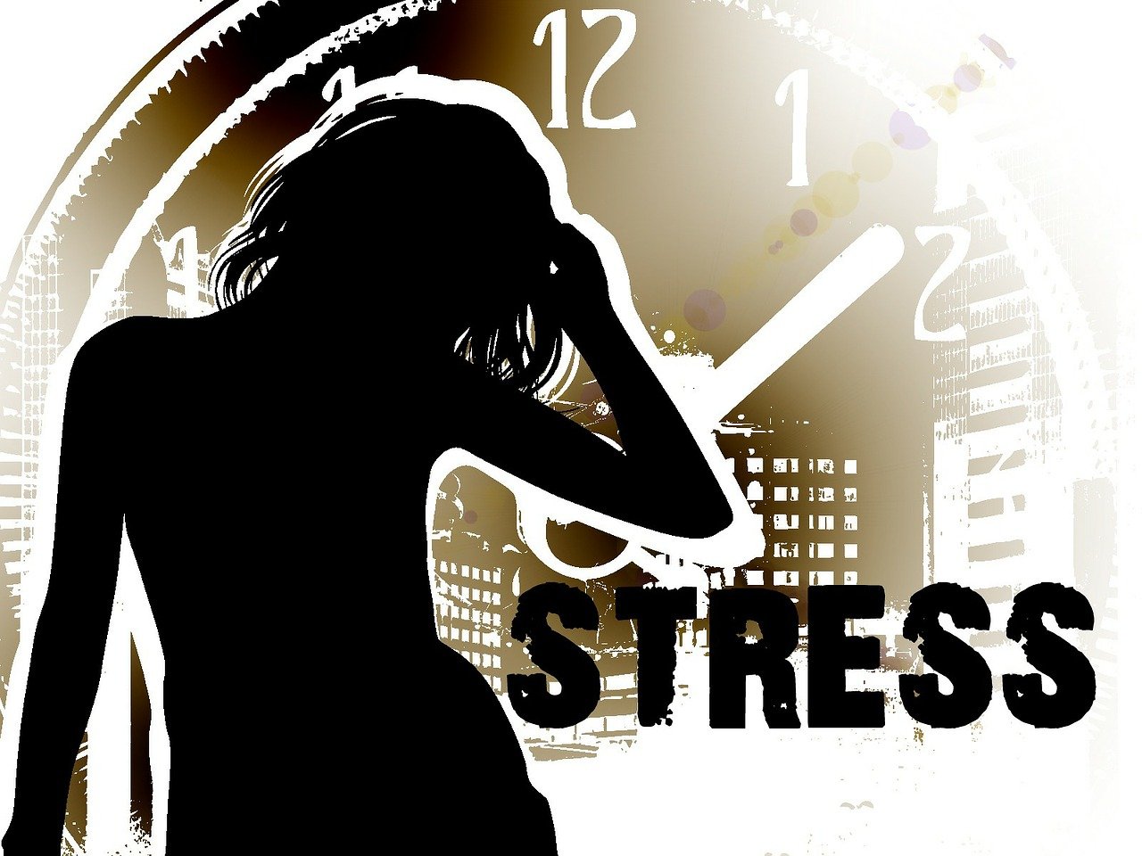 Ayurveda bei Stress und Burnout (Die Bildrechte liegen bei dem Verfasser der Mitteilung.) Ayurveda bei Stress und Burnout (Die Bildrechte liegen bei dem Verfasser der Mitteilung.)