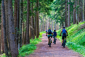 Reisen oder Ausflüge mit dem Fahrrad sind beliebt wie nie. Foto: MaBraS auf Pixabay Reisen oder Ausflüge mit dem Fahrrad sind beliebt wie nie. Foto: MaBraS auf Pixabay