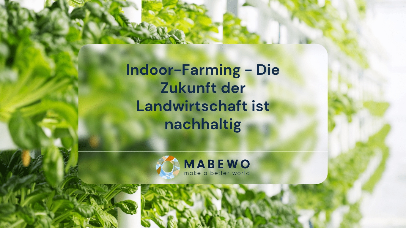 MABEWO AG - Nachhaltige Landwirtschaft (Die Bildrechte liegen bei dem Verfasser der Mitteilung.) MABEWO AG - Nachhaltige Landwirtschaft (Die Bildrechte liegen bei dem Verfasser der Mitteilung.)