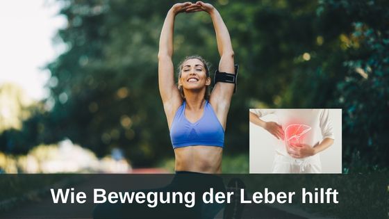 Wie Bewegung der Leber hilft / Redaktion bioresonanz-zukunft.de (Die Bildrechte liegen bei dem Verfasser der Mitteilung.) Wie Bewegung der Leber hilft / Redaktion bioresonanz-zukunft.de (Die Bildrechte liegen bei dem Verfasser der Mitteilung.)