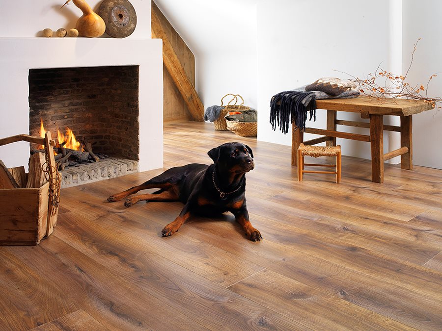 Der BerryAlloc Spirit Home Click Comfort 40 Rigid-Designboden hält auch härteren Belastungen stand (Bildquelle: @ berryAlloc) Der BerryAlloc Spirit Home Click Comfort 40 Rigid-Designboden hält auch härteren Belastungen stand (Bildquelle: @ berryAlloc)