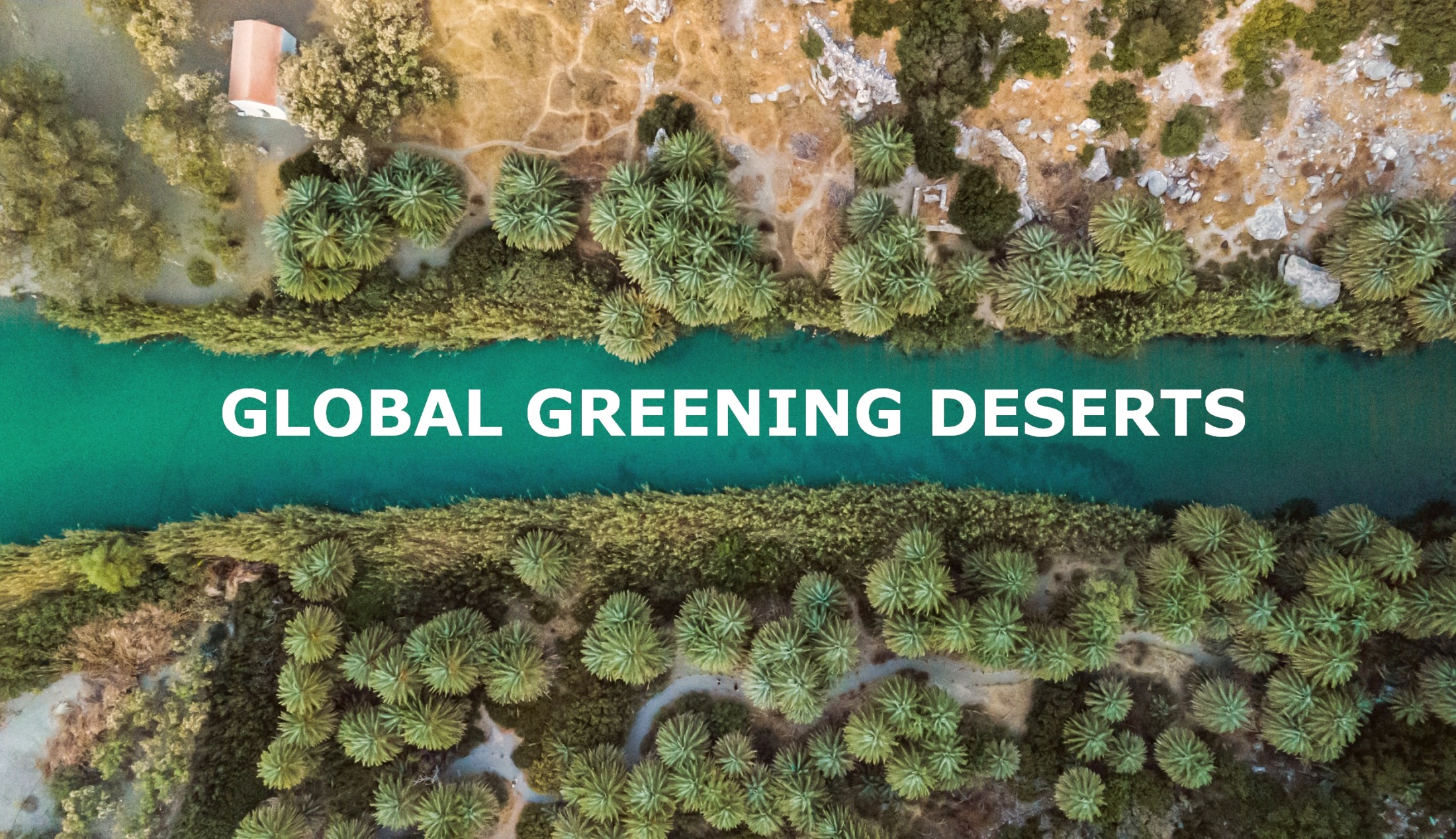 Global Greening Deserts und Trillion Trees Initiative starten neue Projekte für eine bessere und schnellere globale Begrünung Global Greening Deserts und Trillion Trees Initiative starten neue Projekte für eine bessere und schnellere globale Begrünung