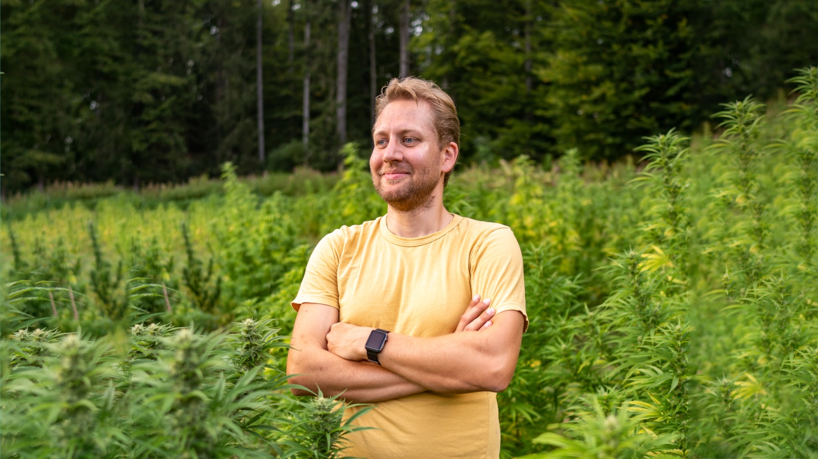 PLÅNTZ Gründer und CEO, Lucas Nestler, im eigenen Hanffeld in der Steiermark (Die Bildrechte liegen bei dem Verfasser der Mitteilung.)