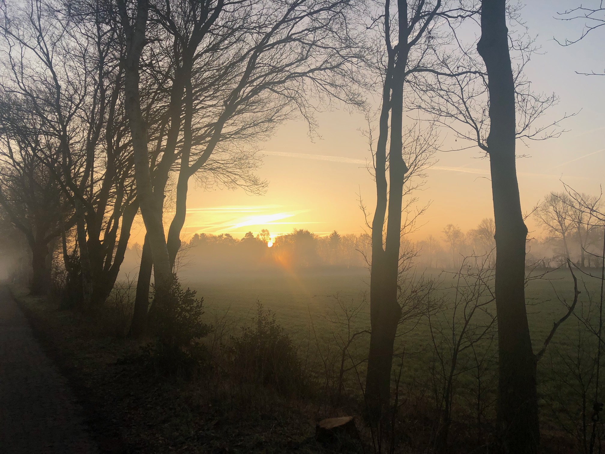 Guten Morgen, Worpswede!