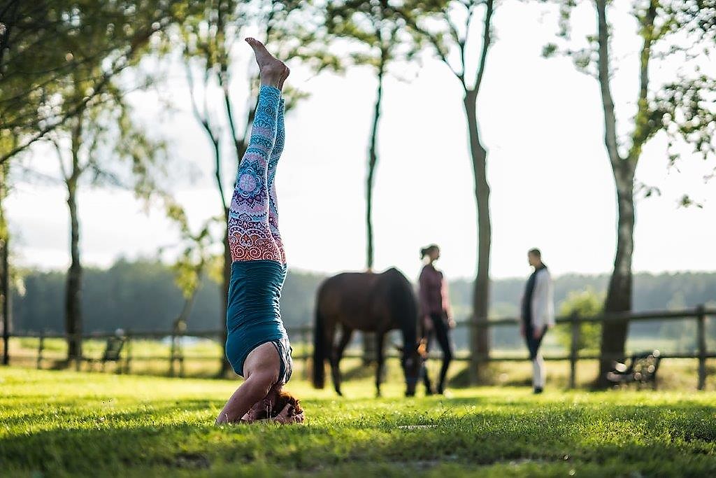 Reiten& Yoga als perfekte Ergänzung (Die Bildrechte liegen bei dem Verfasser der Mitteilung.)