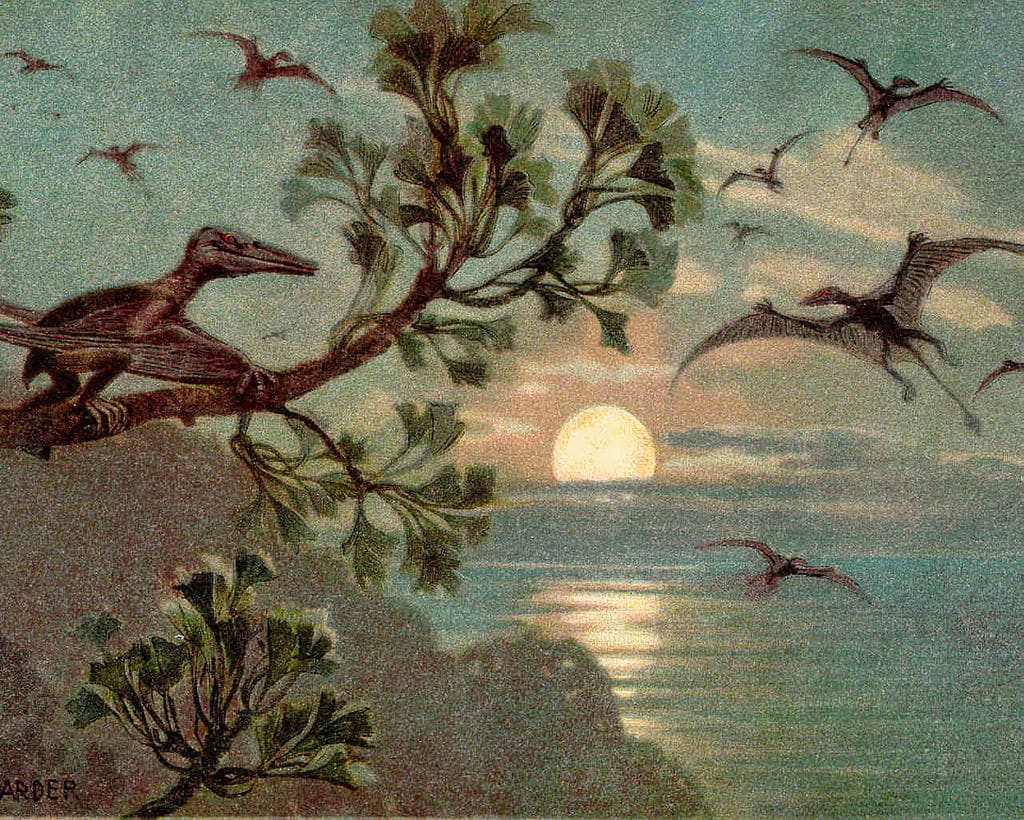 Flugsaurier bei Mondlicht im Solnhofener Archipel vor 150 Millionen Jahren. Zeichnung des Berliner Tiermalers Heinrich Harder (1858-1935) (Die Bildrechte liegen bei dem Verfasser der Mitteilung.)