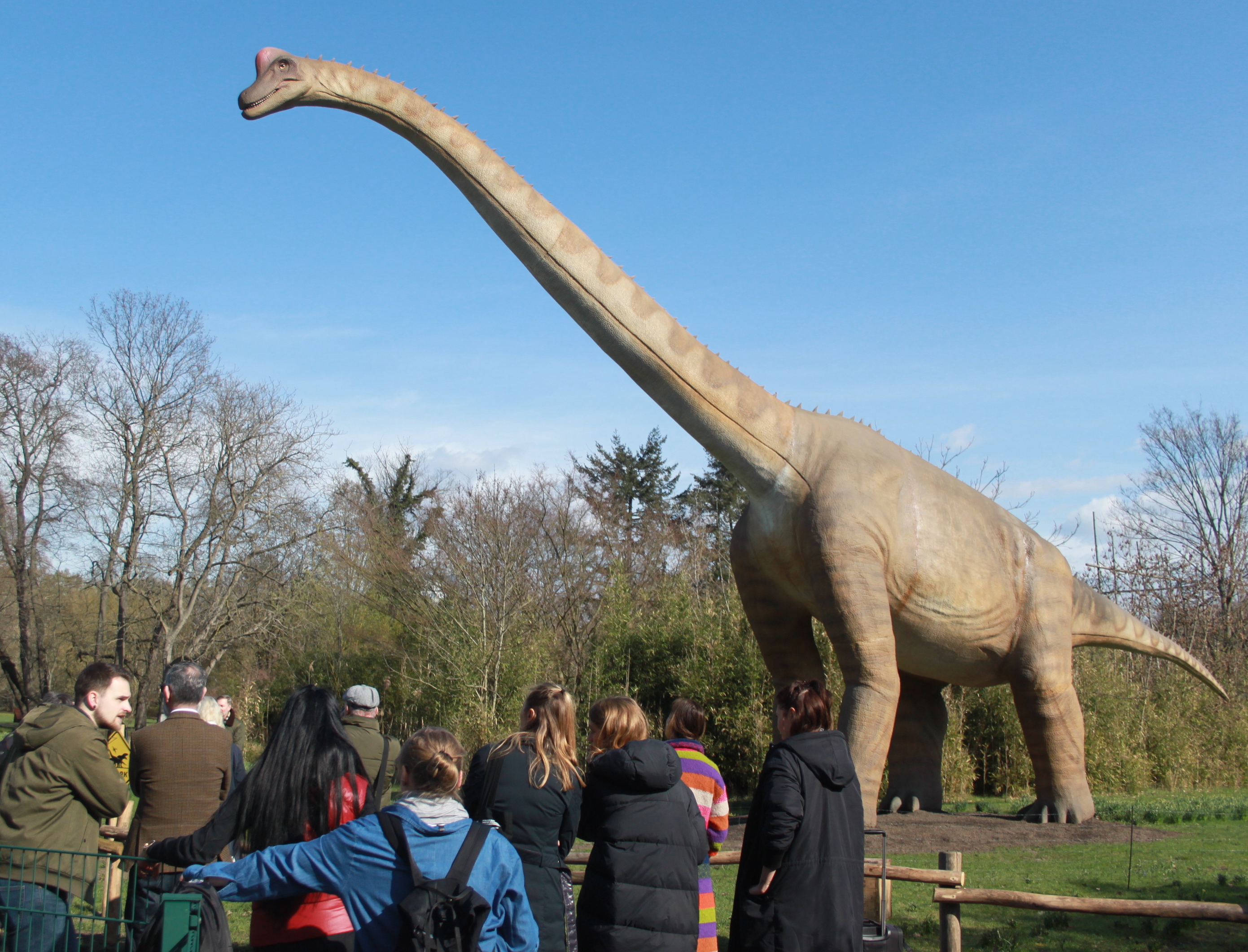 Die DINOWORLD im Tierpark Berlin-Friedrichsfelde©Hans-Peter Gaul Die DINOWORLD im Tierpark Berlin-Friedrichsfelde©Hans-Peter Gaul