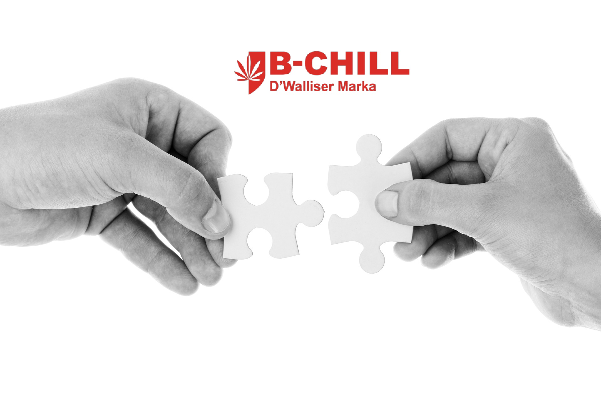 Vertiefte Zusammenarbeit B-Chill und CBD Discounter
