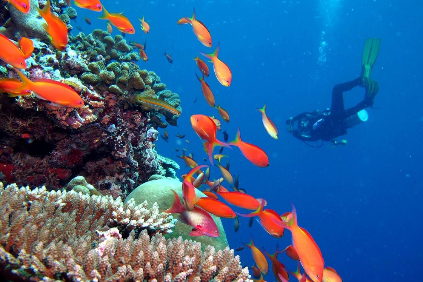 © Kandima Maldives