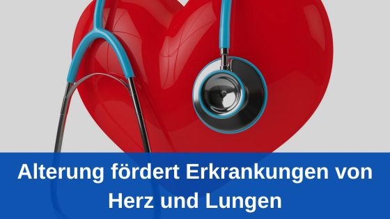 Alterung fördert Erkrankungen von Herz und Lungen / Redaktion bioresonanz-zukunft.de (Die Bildrechte liegen bei dem Verfasser der Mitteilung.) Alterung fördert Erkrankungen von Herz und Lungen / Redaktion bioresonanz-zukunft.de (Die Bildrechte liegen bei dem Verfasser der Mitteilung.)