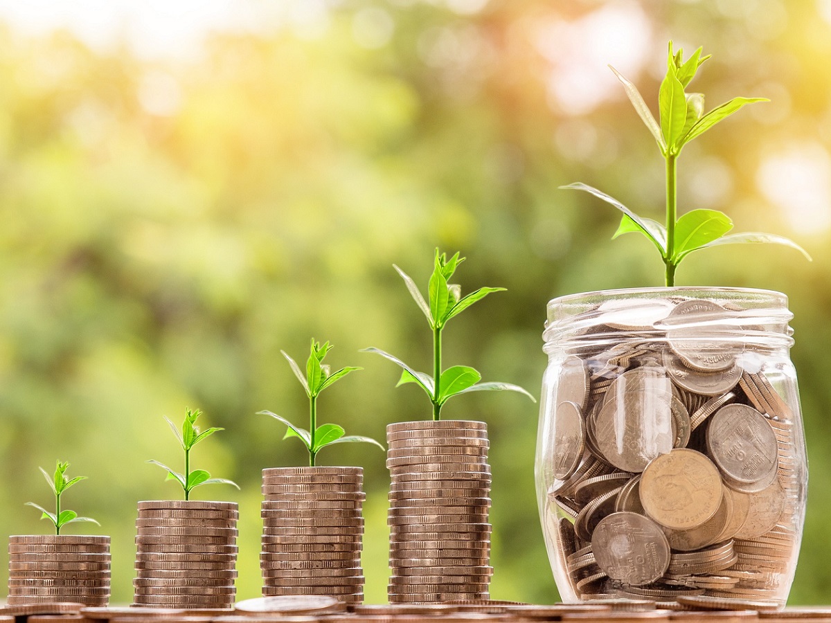 Herando Investment Erfahrungen