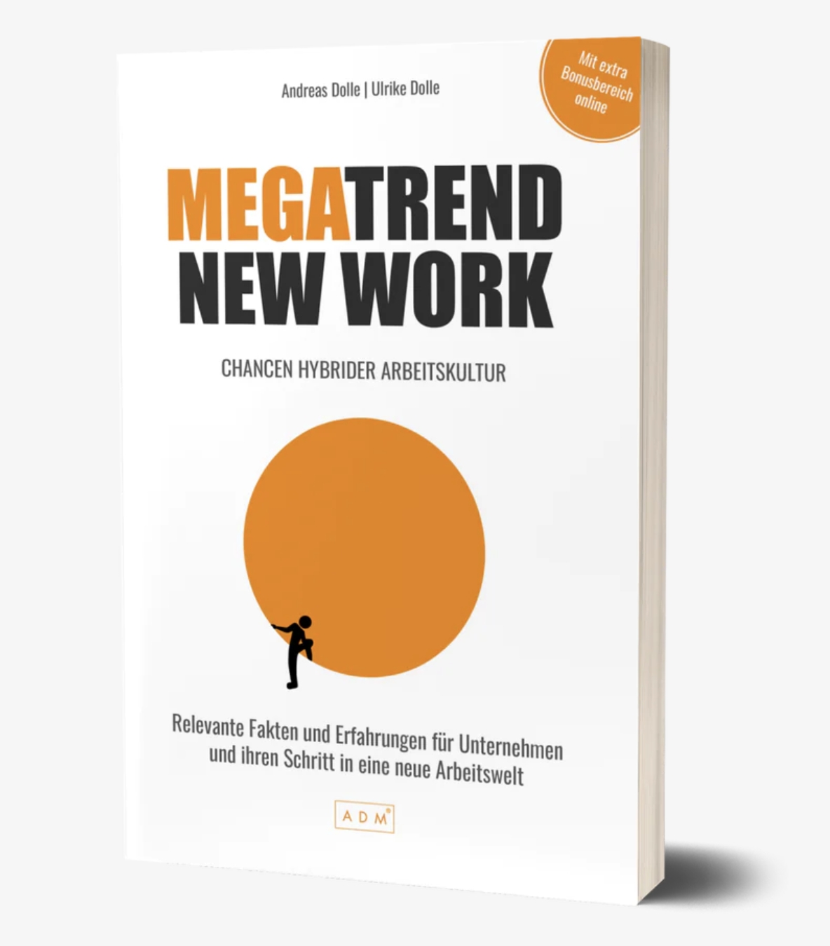 Megatrend New Work, das neue Buch von Andreas und Ulrike Dolle (Die Bildrechte liegen bei dem Verfasser der Mitteilung.)
