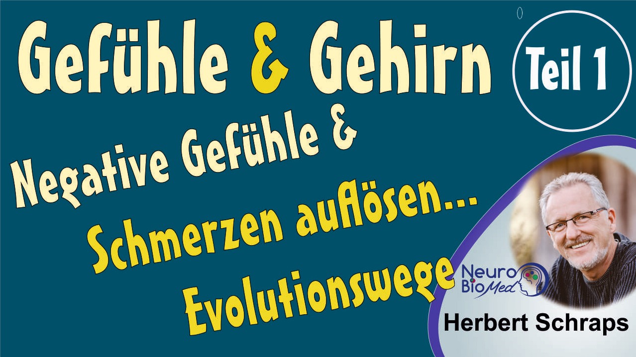 NeuroBioMed, der Zugang zum Gefühl (Die Bildrechte liegen bei dem Verfasser der Mitteilung.) NeuroBioMed, der Zugang zum Gefühl (Die Bildrechte liegen bei dem Verfasser der Mitteilung.)