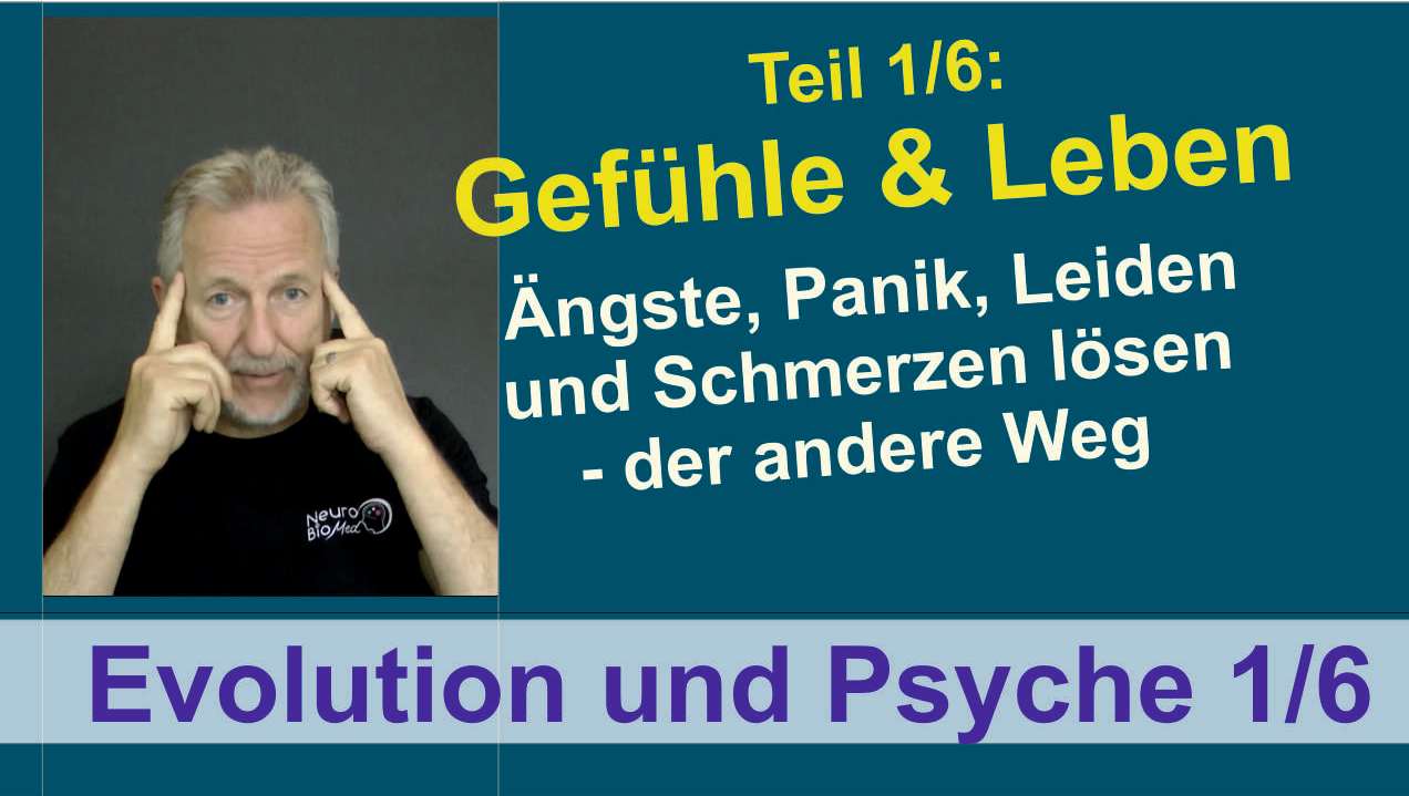 Der Natur folgen: Selbstheilung durch Evolutionsregeln (Die Bildrechte liegen bei dem Verfasser der Mitteilung.) Der Natur folgen: Selbstheilung durch Evolutionsregeln (Die Bildrechte liegen bei dem Verfasser der Mitteilung.)