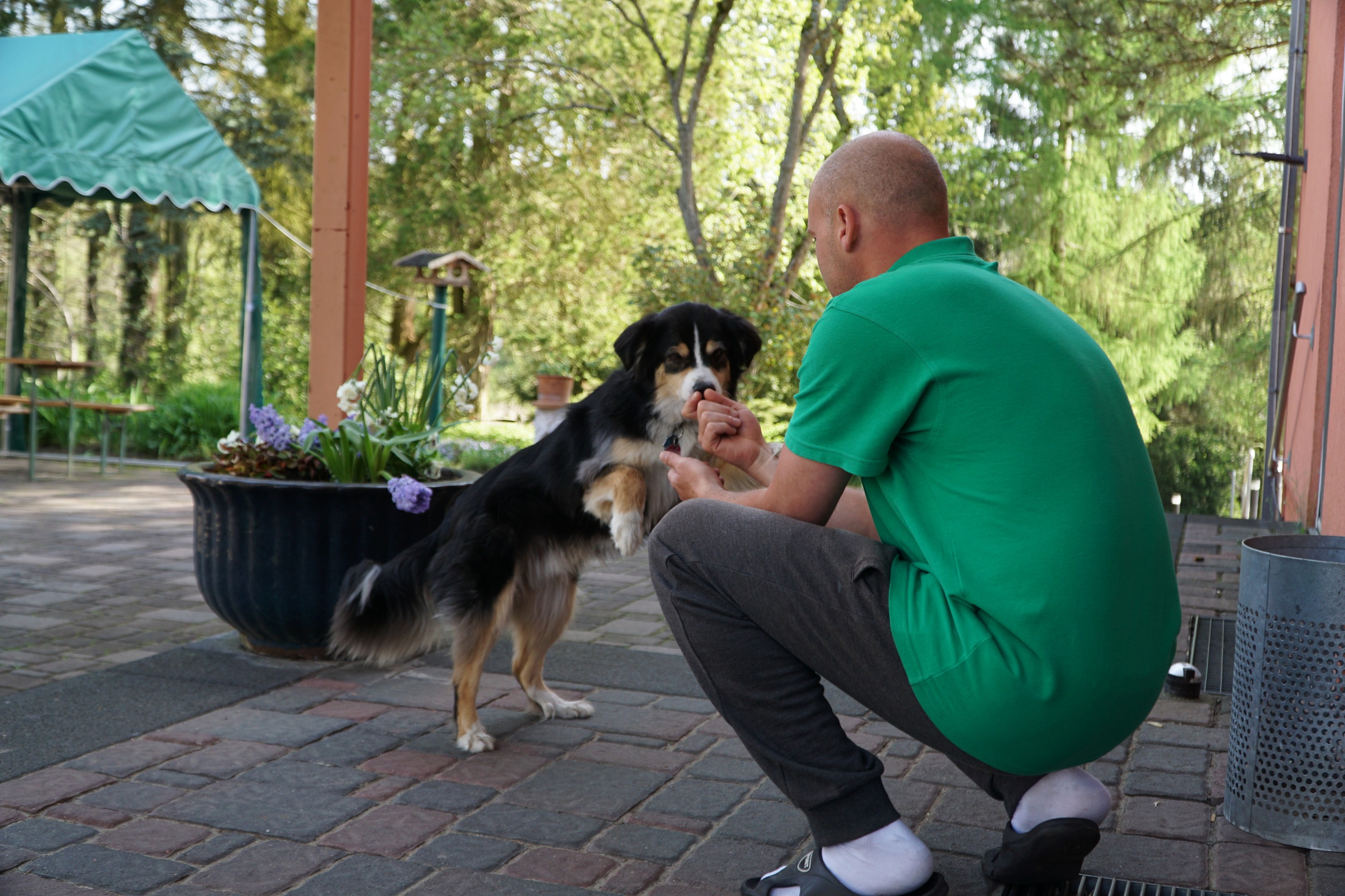 Therapiehund und Rehabilitand Therapiehund und Rehabilitand