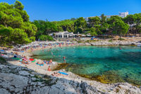 Wunderschöner Strand an der Adria (Foto: Kroatische Zentrale für Tourismus/Aleksandar Gospi?)
