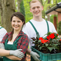Das Lehrportal für die GaLaBau-Ausbildung ist ab sofort kostenlos nutzbar Das Lehrportal für die GaLaBau-Ausbildung ist ab sofort kostenlos nutzbar