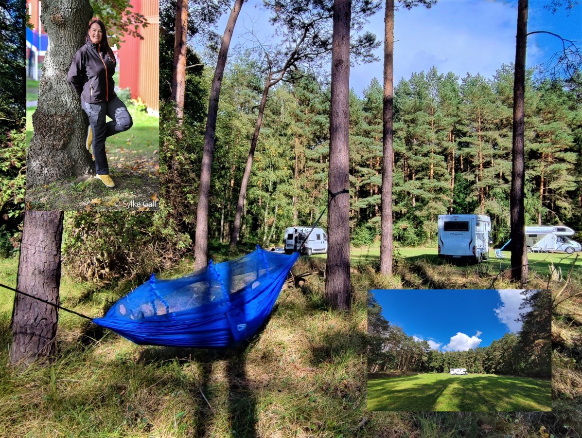 Waldauszeit mit Camper mit der Entschleunigungs-Gastgeberin Petra Lupp (© Petra Lupp / Sylke Gall (Portraitfoto)) Waldauszeit mit Camper mit der Entschleunigungs-Gastgeberin Petra Lupp (© Petra Lupp / Sylke Gall (Portraitfoto))