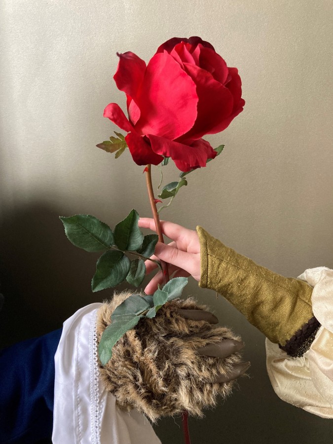 Eine Rose ist eine Rose ist eine Rose. Auch wenn sie vom Tier überreicht wird. (© Michael Tasche) Eine Rose ist eine Rose ist eine Rose. Auch wenn sie vom Tier überreicht wird. (© Michael Tasche)