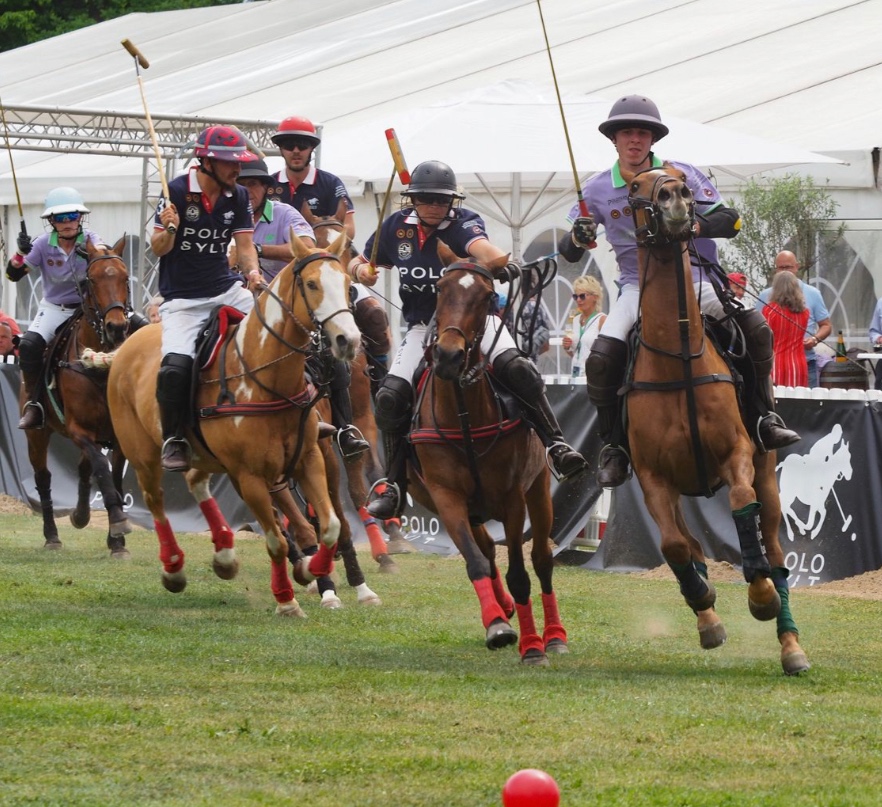 Internationale Deutsche Arena Polo Meisterschaft in Braunschweig (Bildquelle: Baltic Polo Events GmbH)