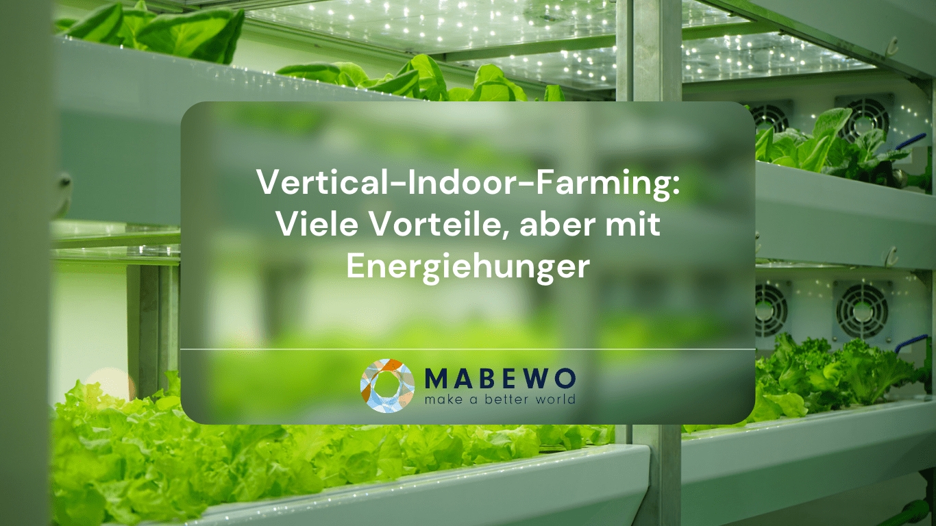 Mabewo AG - Energie in Indoor-Farming (Die Bildrechte liegen bei dem Verfasser der Mitteilung.) Mabewo AG - Energie in Indoor-Farming (Die Bildrechte liegen bei dem Verfasser der Mitteilung.)