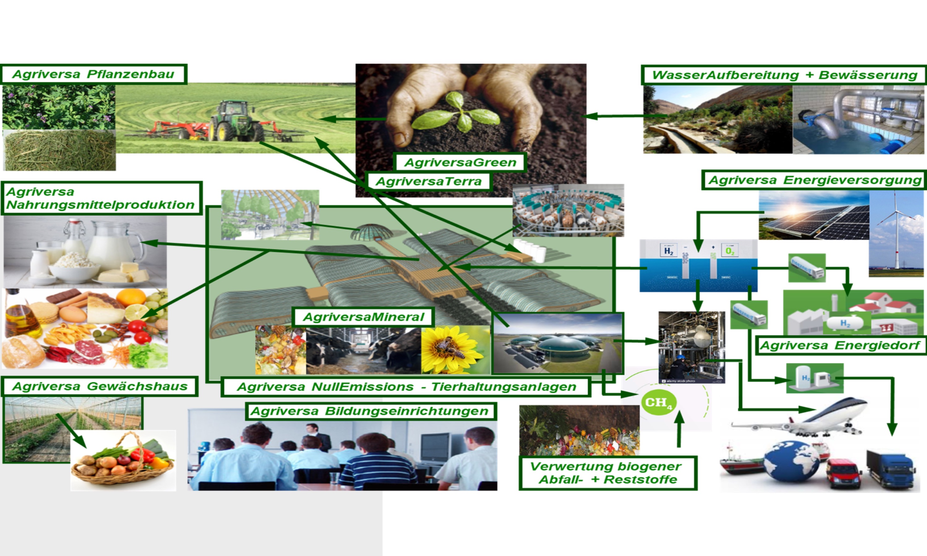 Übersicht : Agriversa-Konzeption Milch- und Energiewirtschaft - St. Baumgärtel