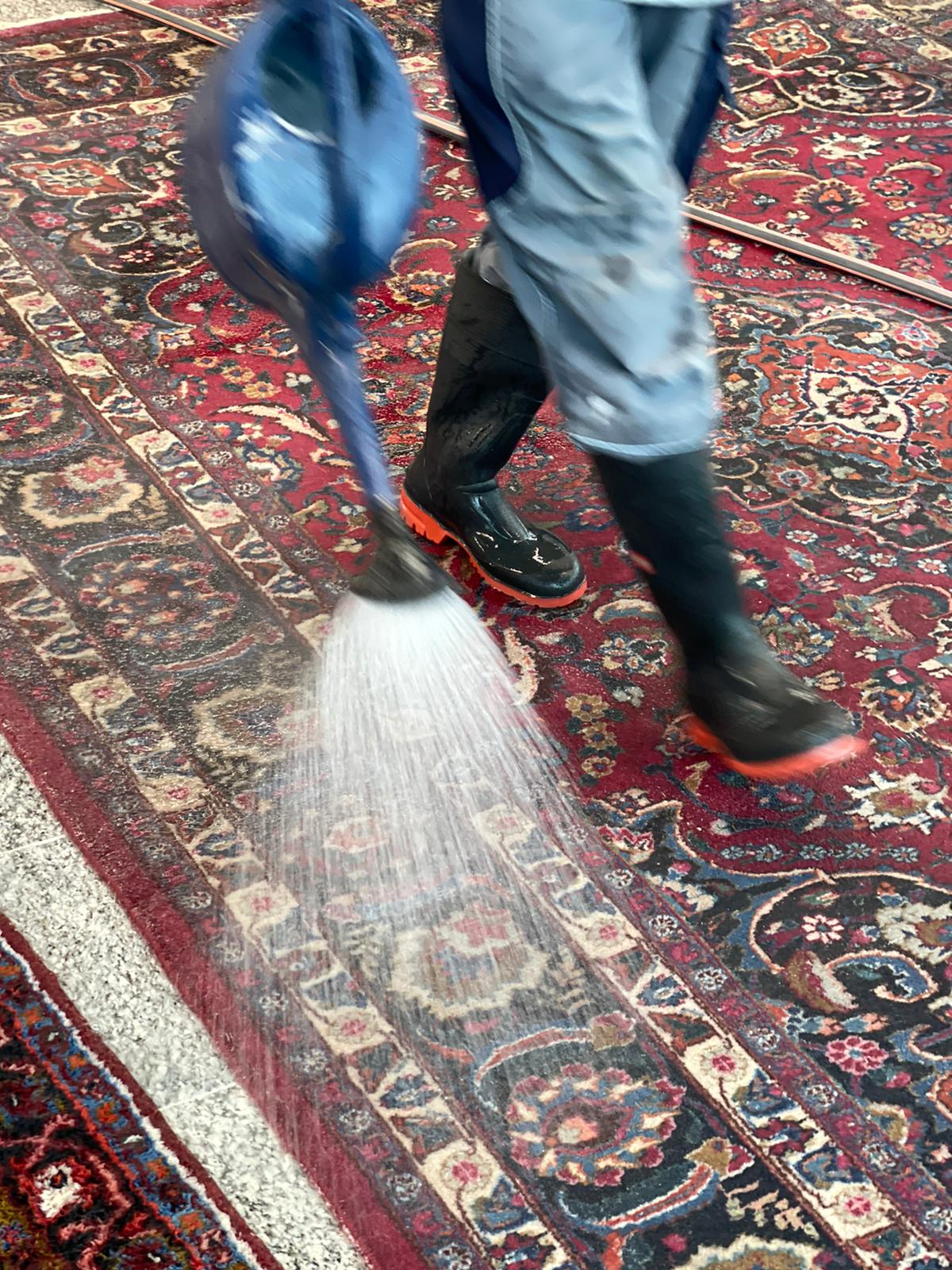 Teppichreinigung (Die Bildrechte liegen bei dem Verfasser der Mitteilung.) Teppichreinigung (Die Bildrechte liegen bei dem Verfasser der Mitteilung.)