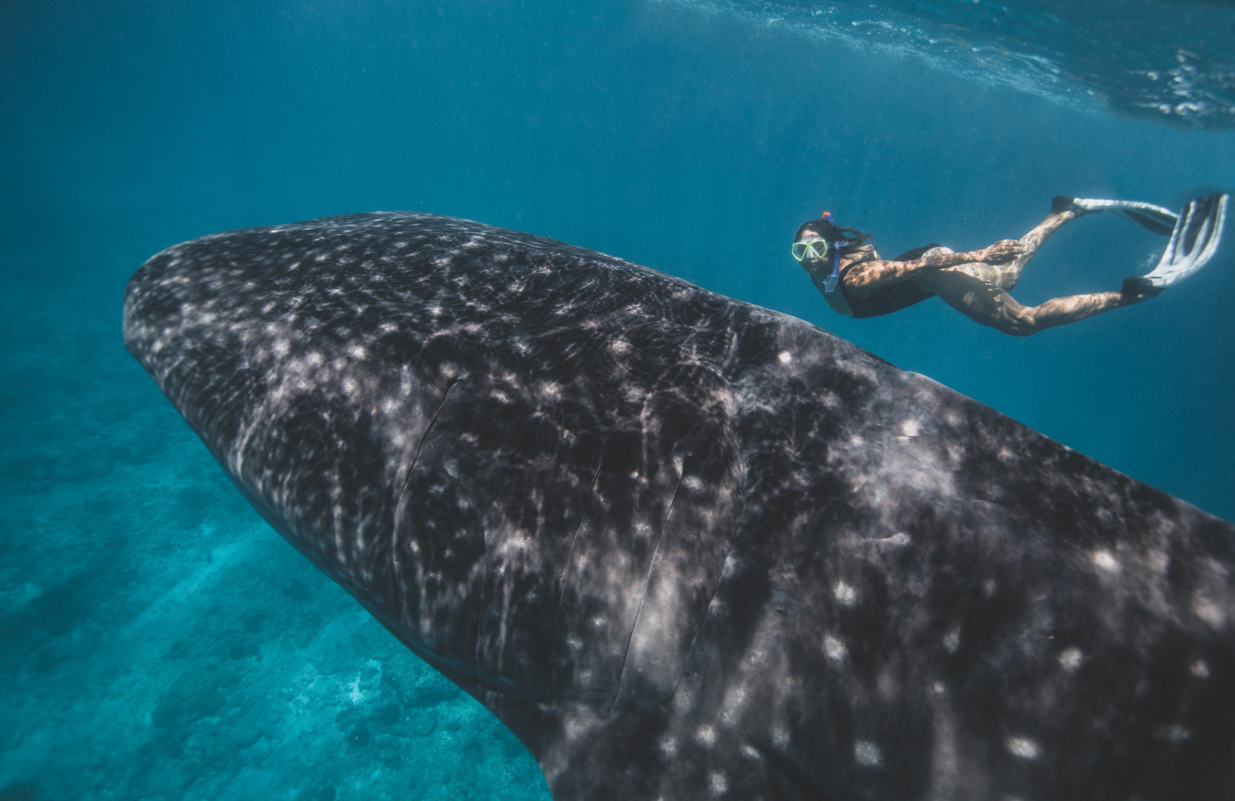 Copyright: Nova Maldives Copyright: Nova Maldives