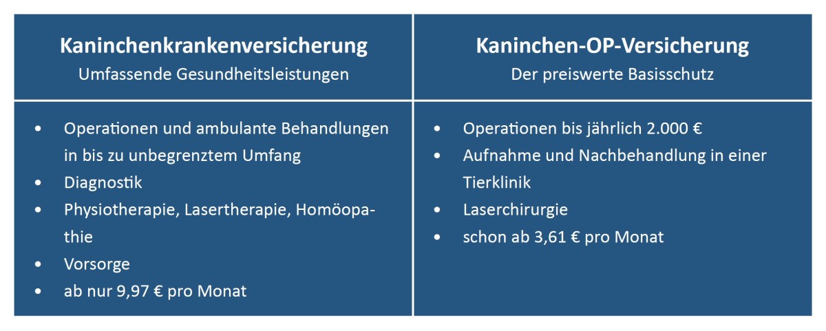 (© Grafik: vs-vergleichen-und-sparen GmbH) (© Grafik: vs-vergleichen-und-sparen GmbH)