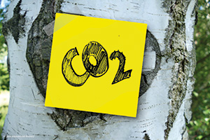 CO2-Emissionen sind der Hauptverursacher des Klimawandels.  Foto: © Gerd Altmann auf Pixabay