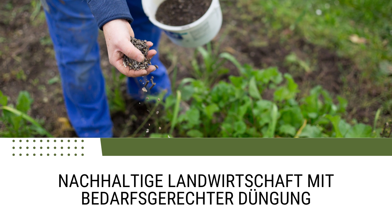(Die Bildrechte liegen bei dem Verfasser der Mitteilung.)