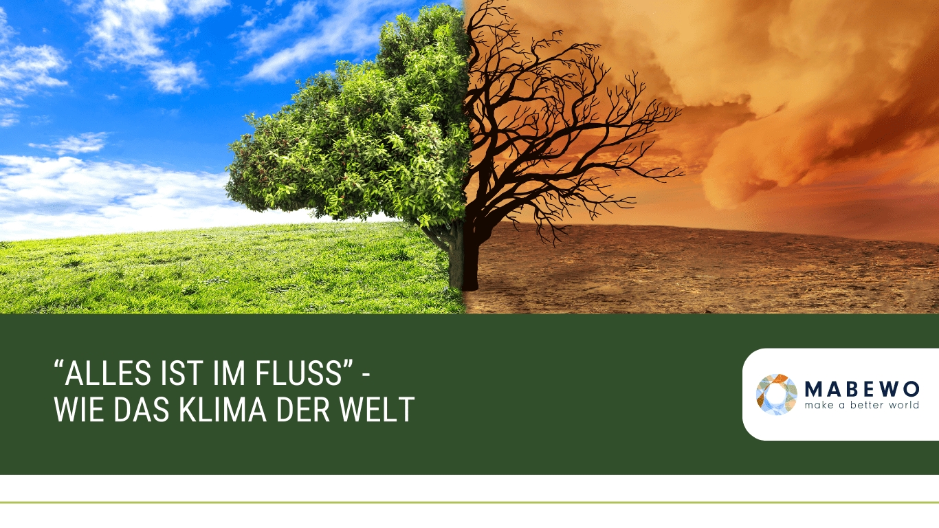 (Die Bildrechte liegen bei dem Verfasser der Mitteilung.) (Die Bildrechte liegen bei dem Verfasser der Mitteilung.)