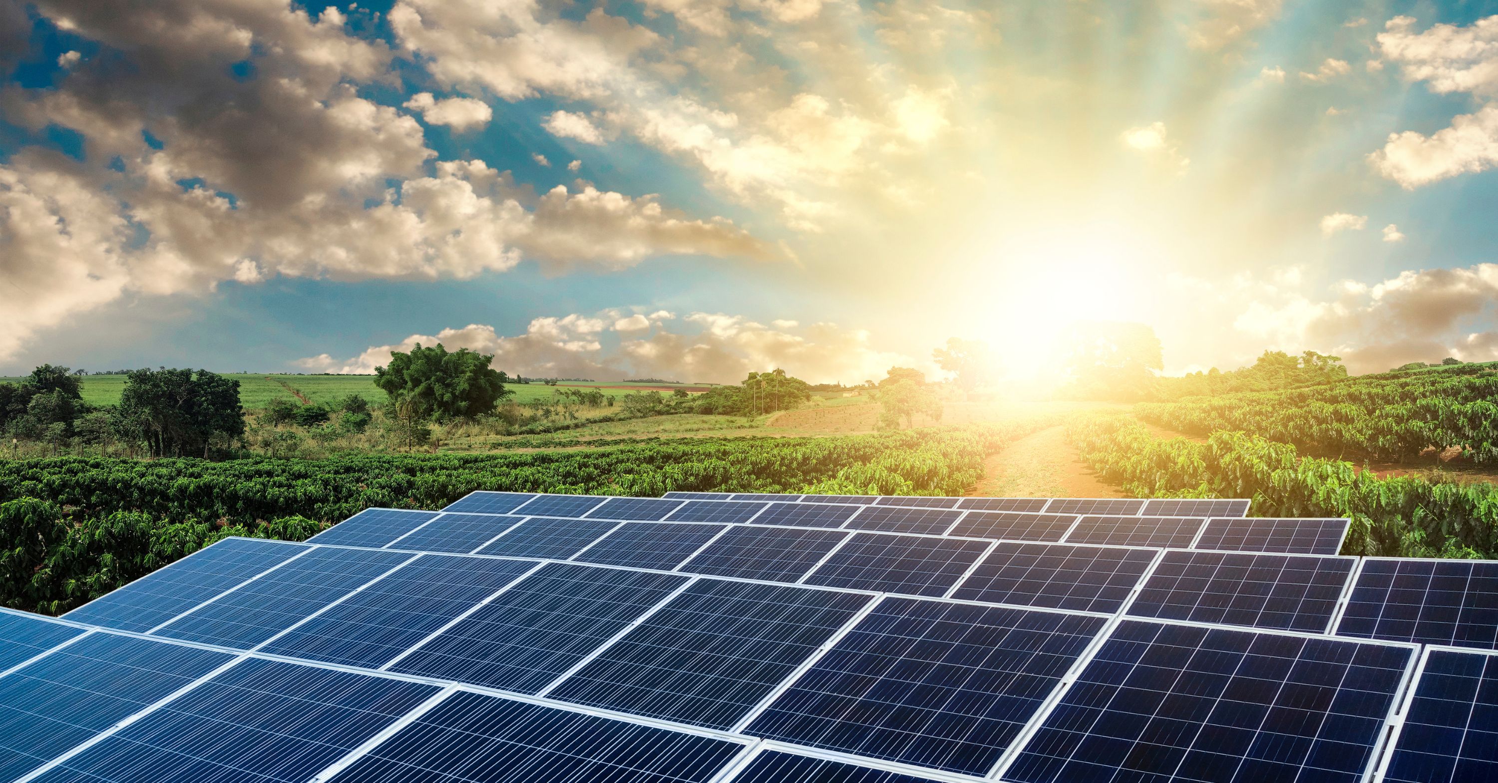 Zum ersten Mal dabei: 16 französische Unternehmen auf der Intersolar Europe. Bildrechte: 