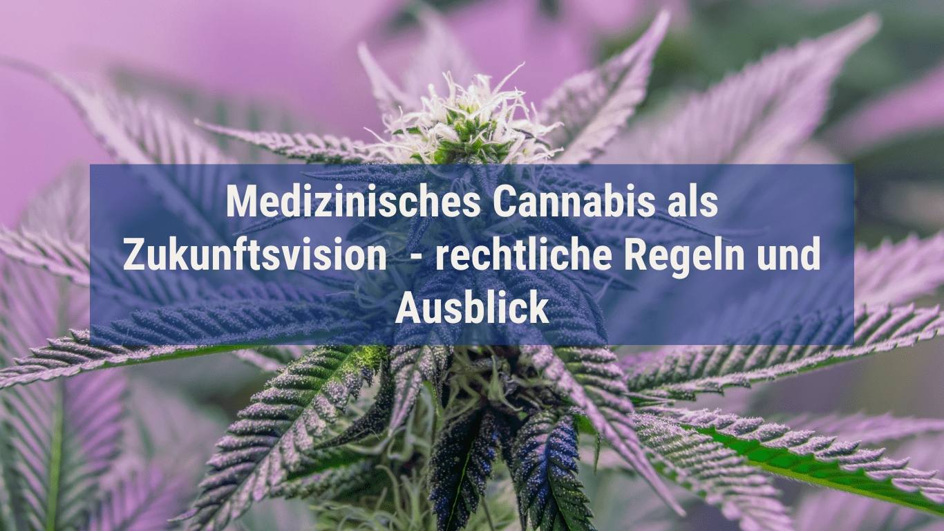 (Die Bildrechte liegen bei dem Verfasser der Mitteilung.) (Die Bildrechte liegen bei dem Verfasser der Mitteilung.)