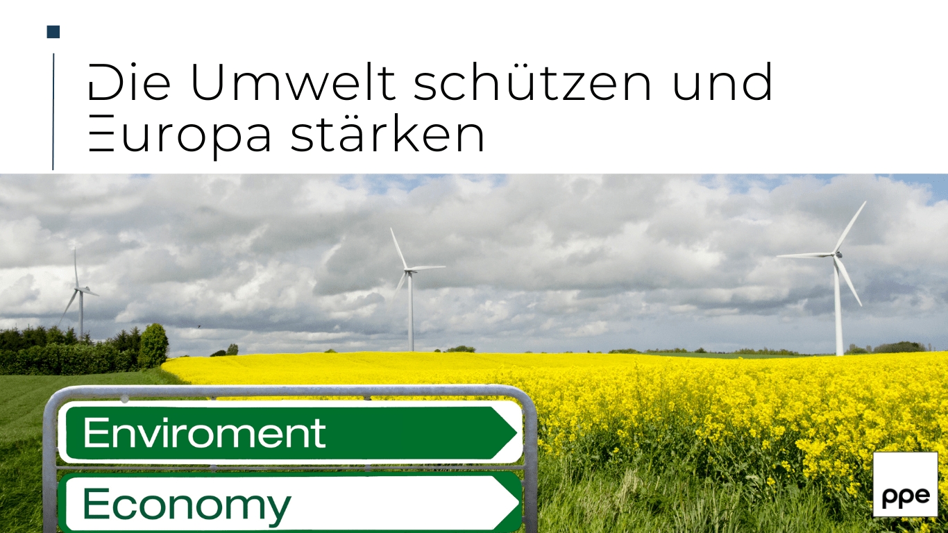 (Die Bildrechte liegen bei dem Verfasser der Mitteilung.)