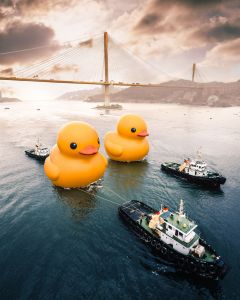 Die„Double Ducks“übernehmen die gesamte Stadt (Die Bildrechte liegen bei dem Verfasser der Mitteilung.) Die„Double Ducks“übernehmen die gesamte Stadt (Die Bildrechte liegen bei dem Verfasser der Mitteilung.)