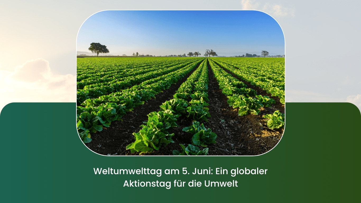 Weltumwelttag am 5. Juni: Ein globaler Aktionstag für die Umwelt (Die Bildrechte liegen bei dem Verfasser der Mitteilung.)