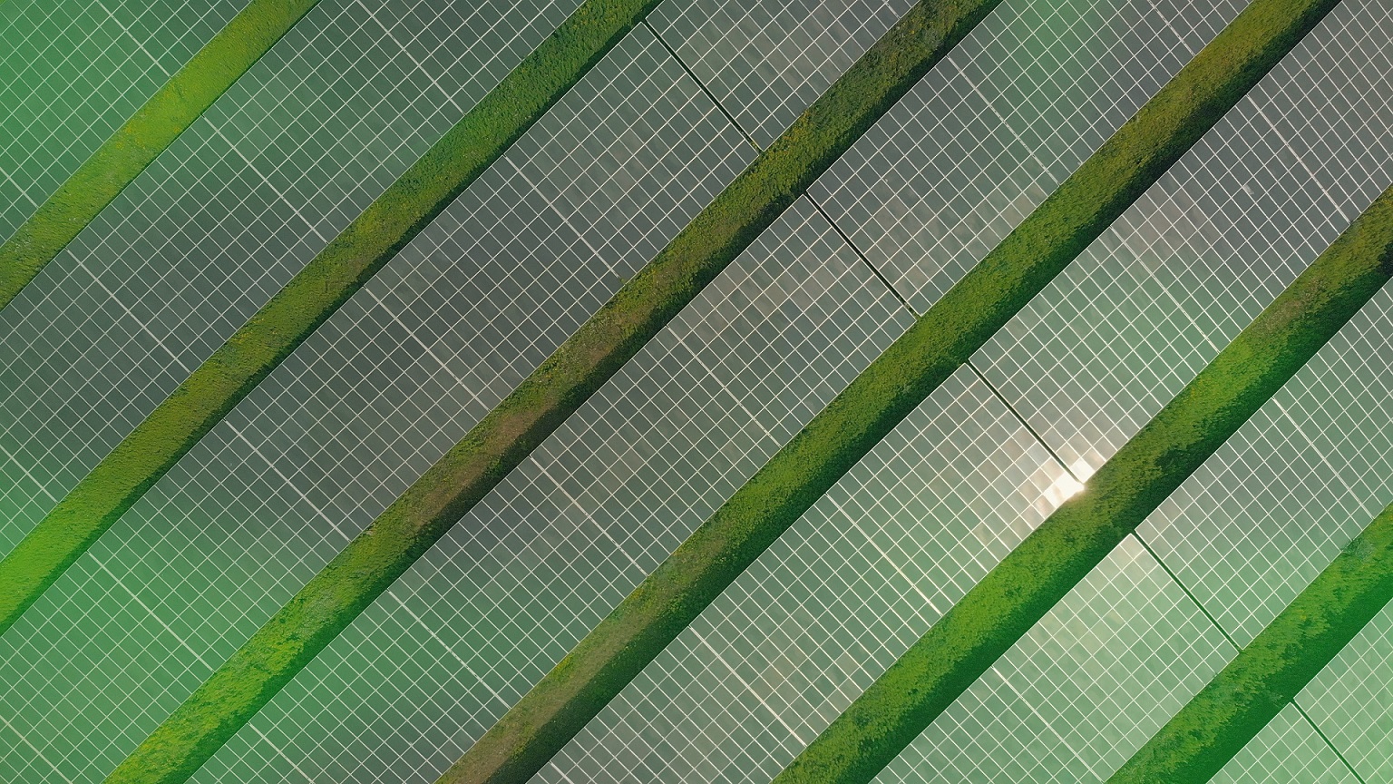 Drohnenshot vom eprimo Solarpark in Biehla (Bildquelle: eprimo GmbH)