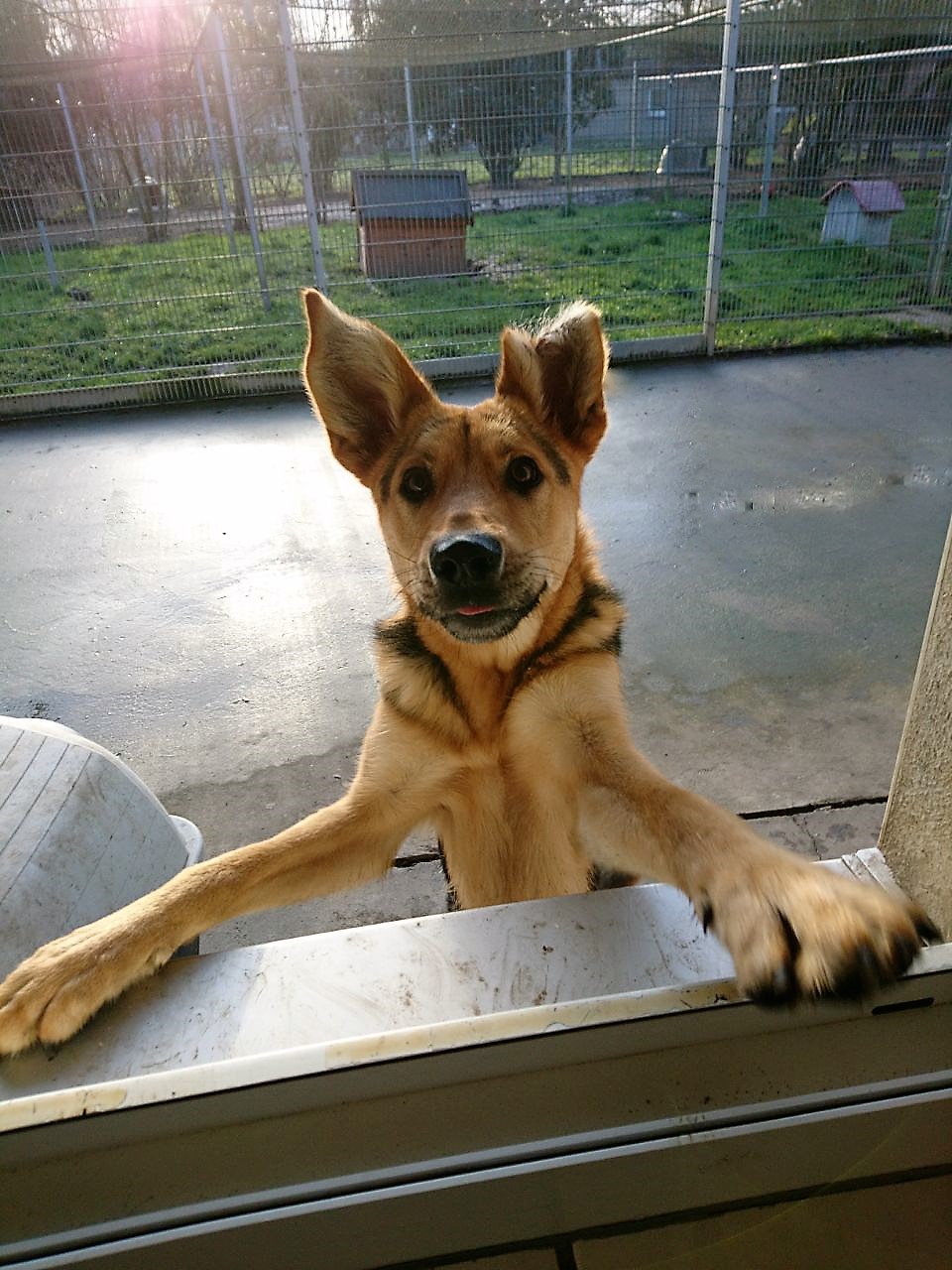 BDT: Grillreste können für Hunde gefährlich werden (Die Bildrechte liegen bei dem Verfasser der Mitteilung.) BDT: Grillreste können für Hunde gefährlich werden (Die Bildrechte liegen bei dem Verfasser der Mitteilung.)
