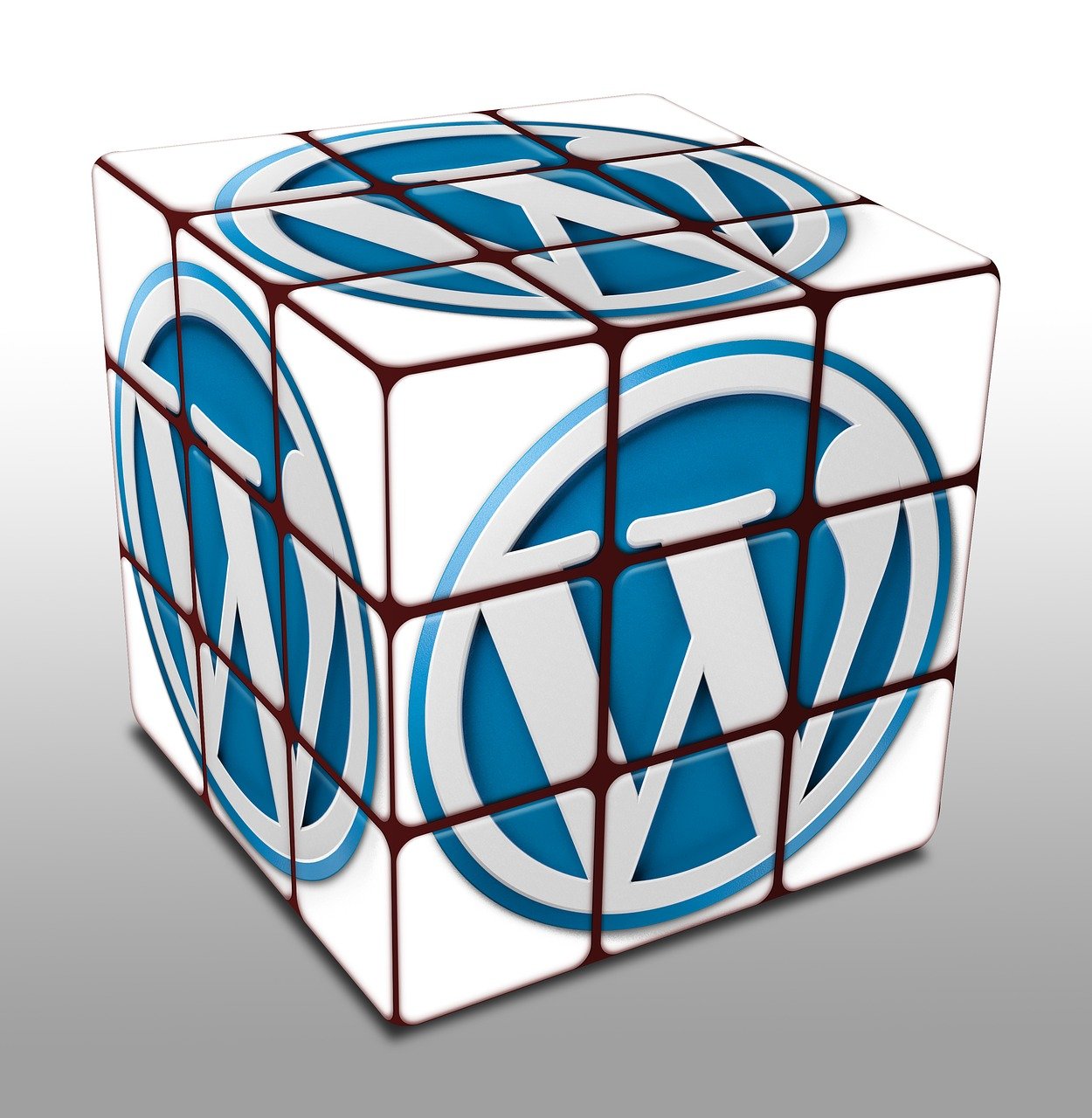 Mit WordPress wird das Entwerfen von Webseiten nicht zum Glücksspiel (Bildquelle: TheDigitalArtist) Mit WordPress wird das Entwerfen von Webseiten nicht zum Glücksspiel (Bildquelle: TheDigitalArtist)