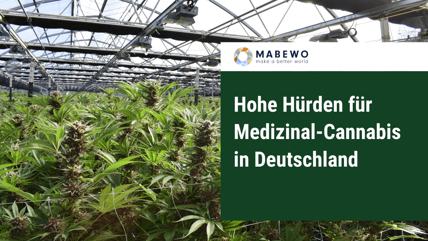 (Die Bildrechte liegen bei dem Verfasser der Mitteilung.)