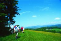 Gemeinde Wegscheid hat nach Holiday-Check-Meinungsumfrage in Bayern die Nase vorn Gemeinde Wegscheid hat nach Holiday-Check-Meinungsumfrage in Bayern die Nase vorn