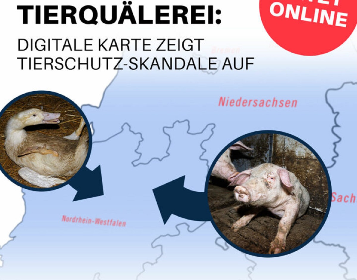 Neue Datenbank der Tierquälerei zeigt: Vor allem Brandenburg ist betroffen - 26 Skandale in den letzten Jahren - kaum rechtliche F Neue Datenbank der Tierquälerei zeigt: Vor allem Brandenburg ist betroffen - 26 Skandale in den letzten Jahren - kaum rechtliche F