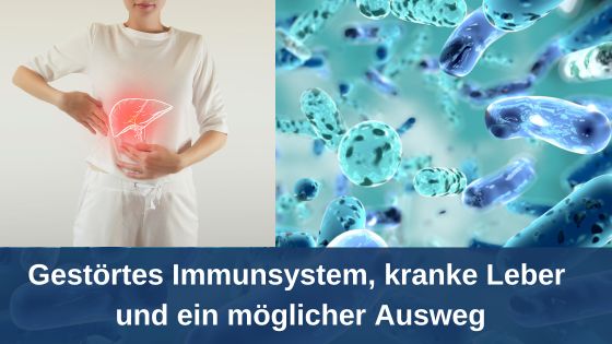 Gestörtes Immunsystem, kranke Leber und ein möglicher Ausweg / Redaktion bioresonanz-zukunft.de (Die Bildrechte liegen bei dem Verfasser der Mitteilung.) Gestörtes Immunsystem, kranke Leber und ein möglicher Ausweg / Redaktion bioresonanz-zukunft.de (Die Bildrechte liegen bei dem Verfasser der Mitteilung.)