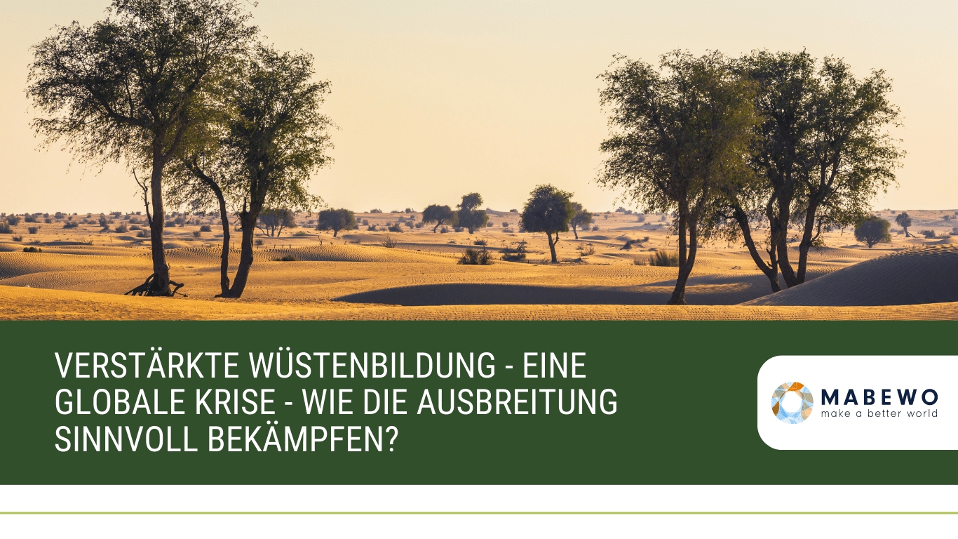 (Die Bildrechte liegen bei dem Verfasser der Mitteilung.)
